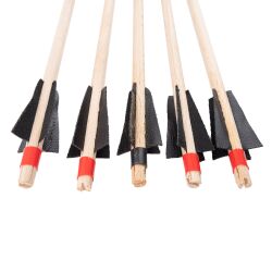 Arrows 500 mm (19.69 inch) 5pcs set for 95cm bow